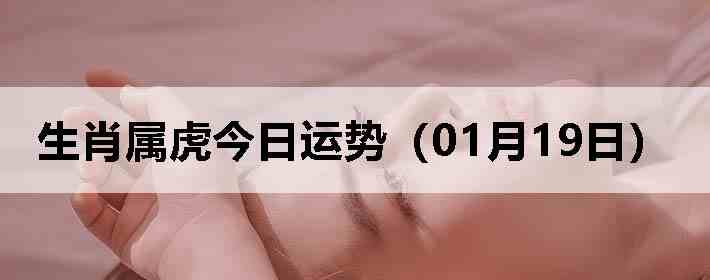 ��Ф�����������ƣ�01��19�գ�