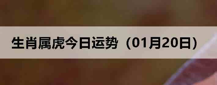 ��Ф�����������ƣ�01��20�գ�