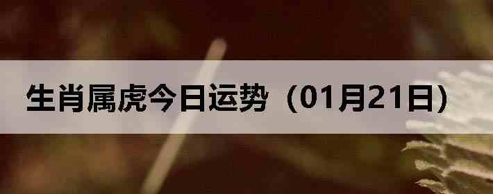 ��Ф�����������ƣ�01��21�գ�