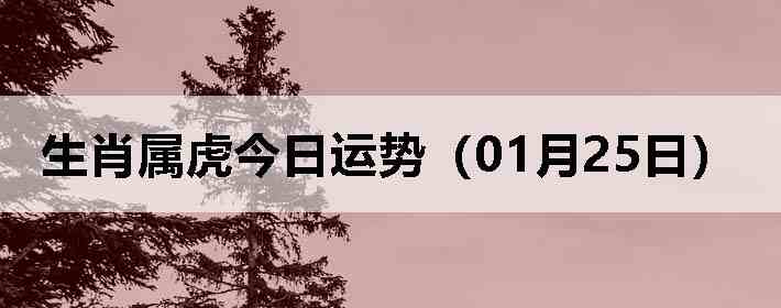 ��Ф�����������ƣ�01��25�գ�