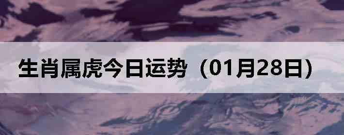 ��Ф�����������ƣ�01��28�գ�