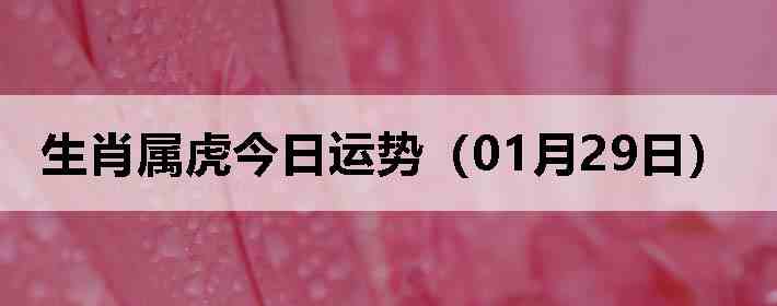 ��Ф�����������ƣ�01��29�գ�