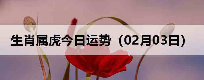 ��Ф�����������ƣ�02��03�գ�