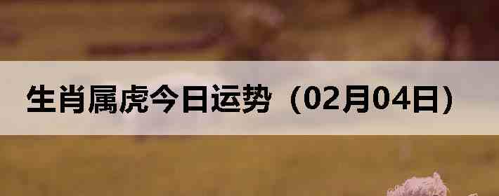 ��Ф�����������ƣ�02��04�գ�