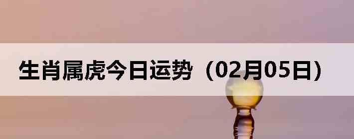 ��Ф�����������ƣ�02��05�գ�