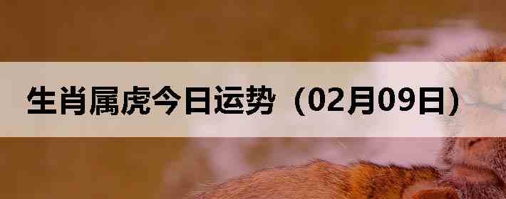 ��Ф�����������ƣ�02��09�գ�