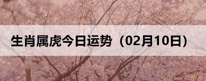 ��Ф�����������ƣ�02��10�գ�