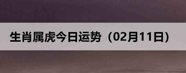 ��Ф�����������ƣ�02��11�գ�