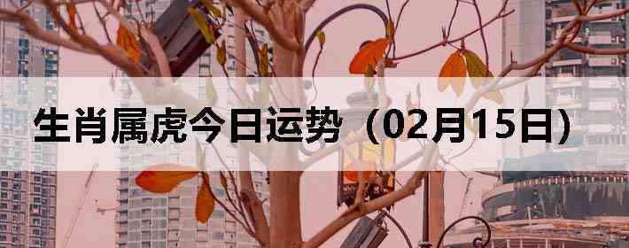 ��Ф�����������ƣ�02��15�գ�