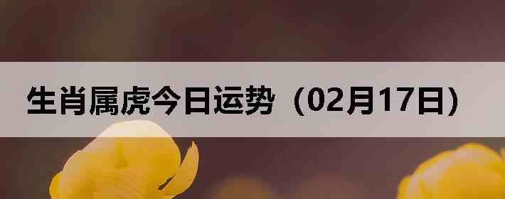 ��Ф�����������ƣ�02��17�գ�