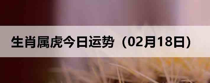 ��Ф�����������ƣ�02��18�գ�