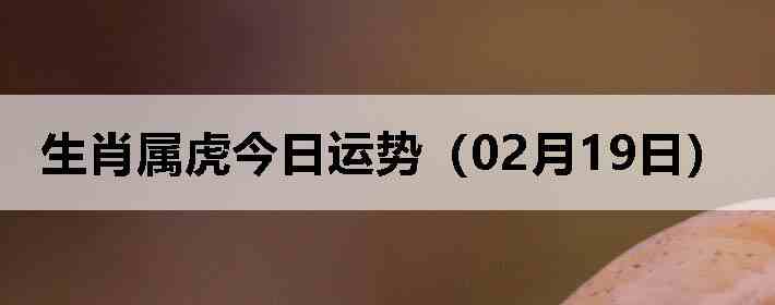 ��Ф�����������ƣ�02��19�գ�