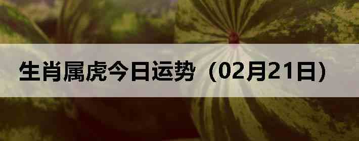 ��Ф�����������ƣ�02��21�գ�