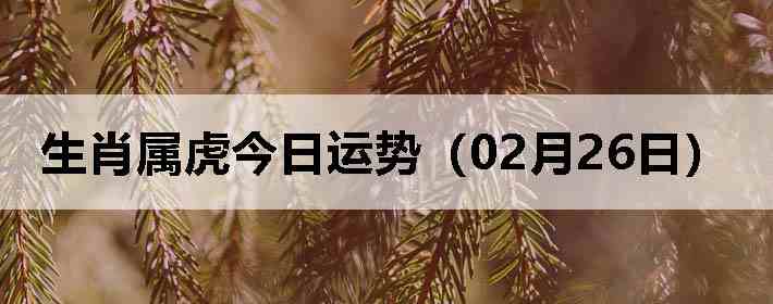 ��Ф�����������ƣ�02��26�գ�