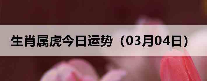 ��Ф�����������ƣ�03��04�գ�