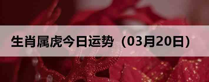 ��Ф�����������ƣ�03��20�գ�