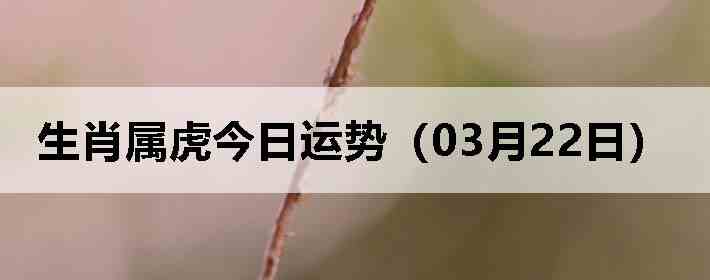 ��Ф�����������ƣ�03��22�գ�