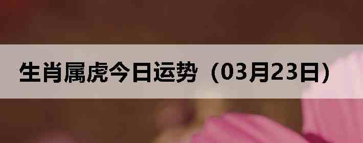 ��Ф�����������ƣ�03��23�գ�