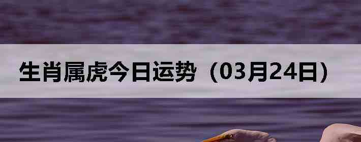 ��Ф�����������ƣ�03��24�գ�