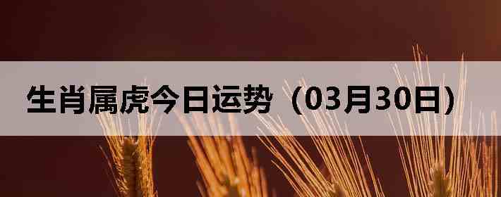 ��Ф�����������ƣ�03��30�գ�