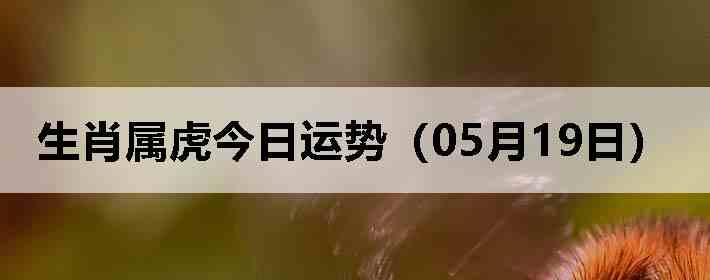 ��Ф�����������ƣ�05��19�գ�