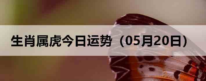 ��Ф�����������ƣ�05��20�գ�