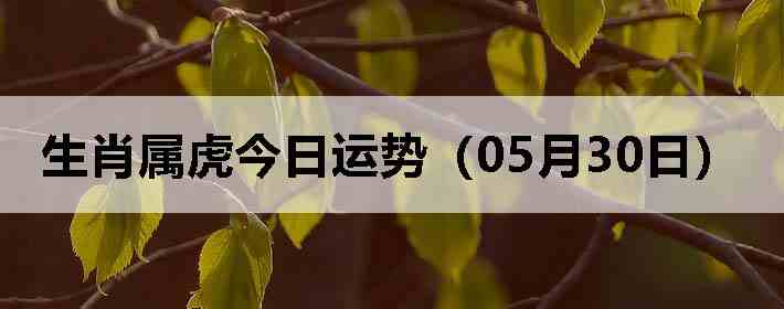 ��Ф�����������ƣ�05��30�գ�