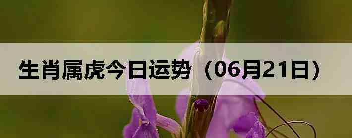 ��Ф�����������ƣ�06��21�գ�