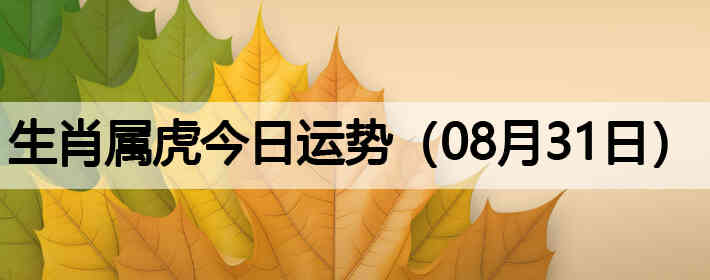 ��Ф�����������ƣ�08��31�գ�