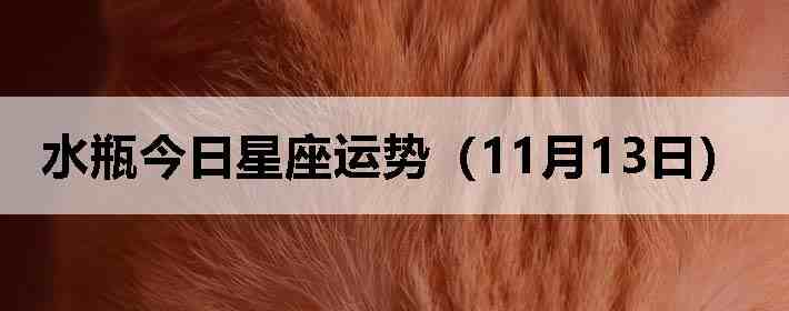 ˮƿ�����������ƣ�11��13�գ�