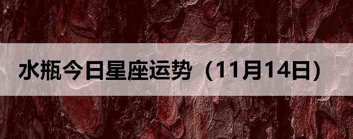 ˮƿ�����������ƣ�11��14�գ�