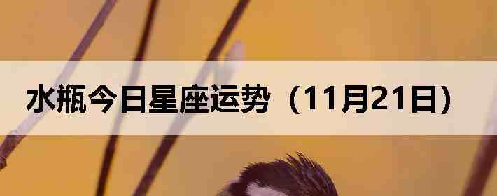 ˮƿ�����������ƣ�11��21�գ�