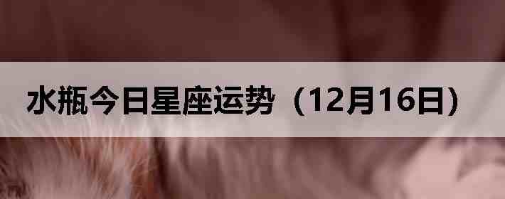 ˮƿ�����������ƣ�12��16�գ�