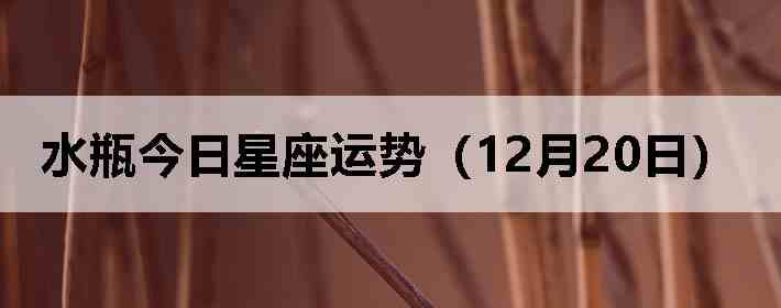 ˮƿ�����������ƣ�12��20�գ�