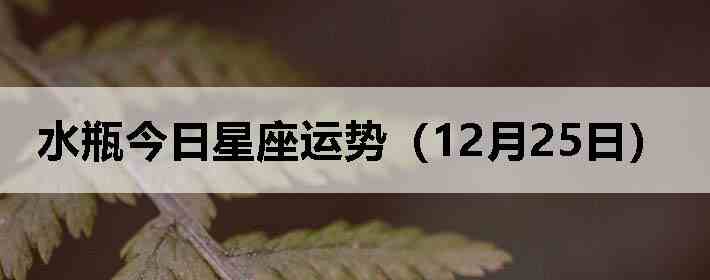 ˮƿ�����������ƣ�12��25�գ�