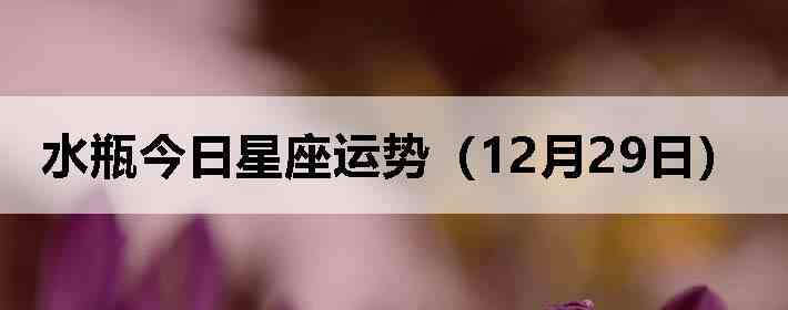ˮƿ�����������ƣ�12��29�գ�