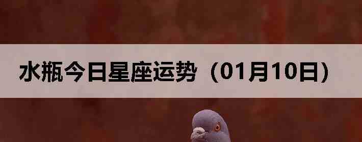ˮƿ�����������ƣ�01��10�գ�
