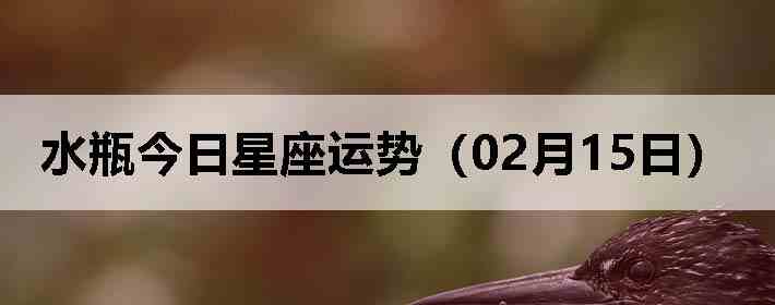 ˮƿ�����������ƣ�02��15�գ�