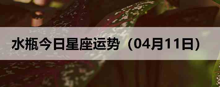 ˮƿ�����������ƣ�04��11�գ�