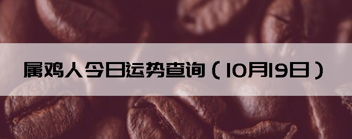 ˽Ʋѯ1019գ