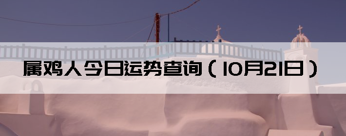 ˽Ʋѯ1021գ