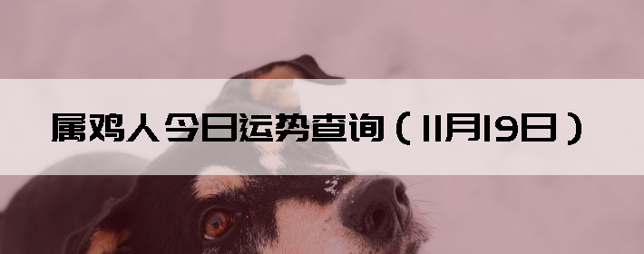 ˽Ʋѯ1119գ