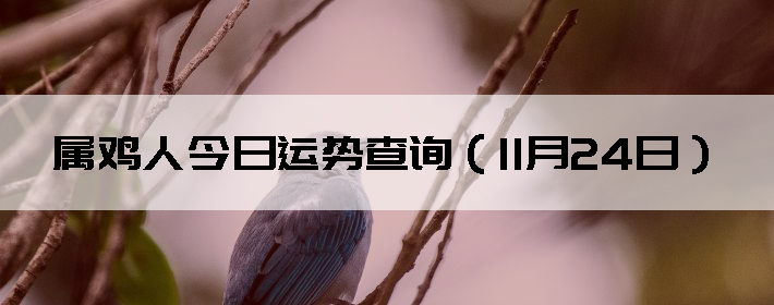 ˽Ʋѯ1124գ