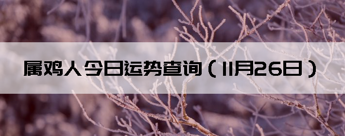 ˽Ʋѯ1126գ