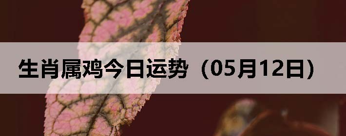 Фƣ0512գ