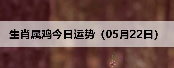 Фƣ0522գ