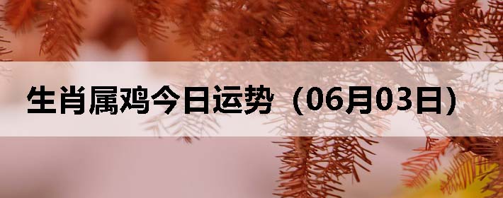 Фƣ0603գ