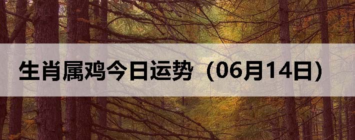 Фƣ0614գ