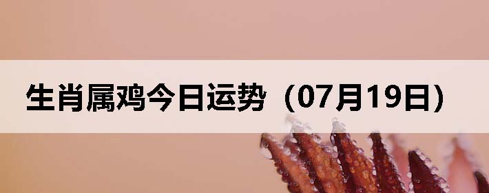 Фƣ0719գ