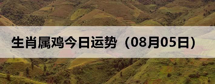Фƣ0805գ